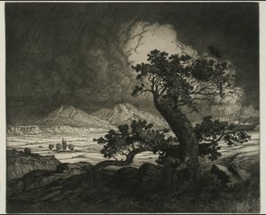Old Cedars e Spanish Peaks de George Elbert Burr