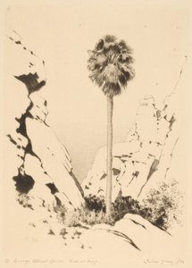 Palm Canyon (nº 1) de George Elbert Burr