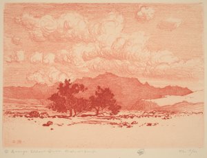 Árvores palo verde de George Elbert Burr