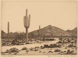 Estrada para Paradise Valley, Arizona