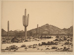 Estrada para Paradise Valley, Arizona