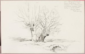 Roche Vaud de George Elbert Burr