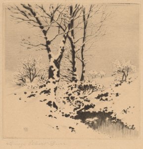 Neve de George Elbert Burr