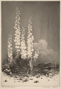  de George Elbert Burr