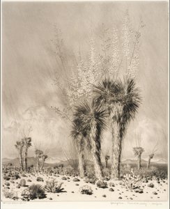 Primavera, Paradise Valley, Arizona de George Elbert Burr