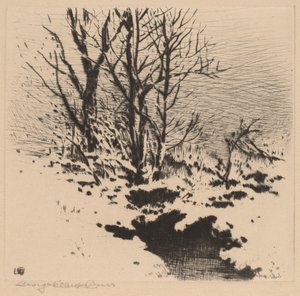 A Primeira Neve (nº 2) de George Elbert Burr