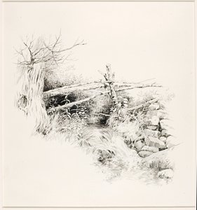 Sem título (Córrego do Bosque) de George Elbert Burr
