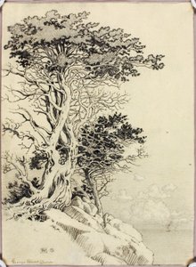Sem título (desenho para impressão) de George Elbert Burr
