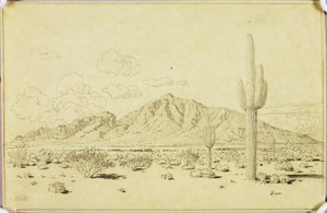 Sem título (desenho de transferência para Camelback Mountain, Phoenix) de George Elbert Burr