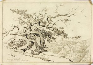 Sem título (desenho de transferência para Entardecer, Apache Trail, Arizona) de George Elbert Burr