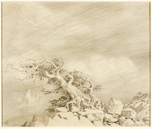 Sem título (desenho de transferência para Storm near Timberline) de George Elbert Burr