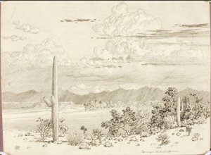 Sem título (desenho por transferência para o rio Verde, Reserva Apache, Arizona)