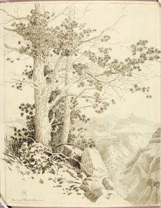 Sem título (desenho de transferência para impressão) de George Elbert Burr