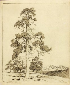 Sem título (desenho de transferência para impressão) de George Elbert Burr