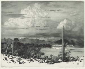 Rio Verde, Reserva Apache, Arizona de George Elbert Burr