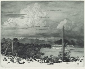 Rio Verde, Arizona de George Elbert Burr