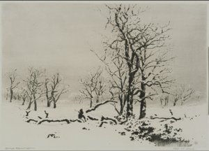 Inverno (n.º 1) de George Elbert Burr