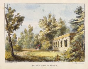 Aviary, Kew Gardens, prato 10 de Kew Gardens: Uma série de vinte e quatro desenhos sobre pedra, gravada por Charles Hullmandel (1789-1850), publicada em 1820 (litografia colorida à mão)
