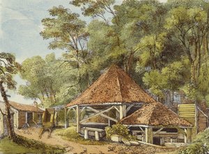 Obras de água, Kew Gardens, prato 22 de Kew Gardens: Uma série de vinte e quatro desenhos sobre pedra, gravada por Charles Hullmandel (1789-1850), publicada em 1820 (litografia colorida à mão)