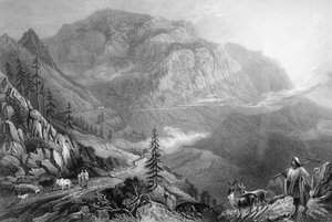 Floresta. de George Francis White