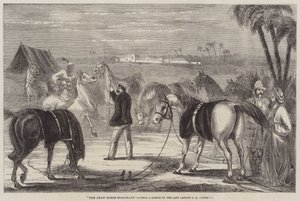 O comerciante de cavalos árabe