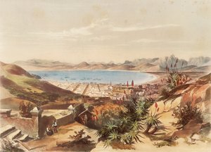 Cidade do Cabo de George French Angas