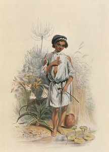 Charley, um rapaz mestiço em Natal de George French Angas
