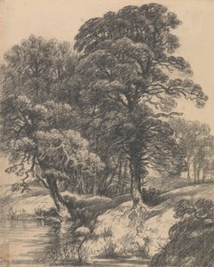 Uma Paisagem arborizada com piscina
