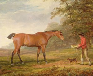 Um Bay Horse Aproximado por um Rapaz Estável com Comida e um Halter, 1789
