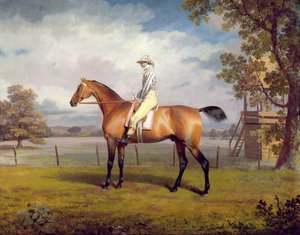 O disfarce do duque de Hamilton com Jockey Up (óleo sobre tela)