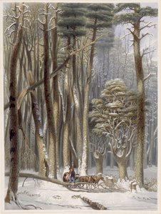 Inverno, Viajantes Impedidos em uma Floresta de Pinheiros, de Harveys Cenas da Floresta Primitiva da América, 1841 (aquatinta colorida à mão)