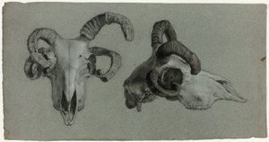 Crânios de carneiros de George Hayter