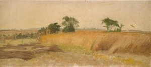 Estudo de um milharal, meados do século 19 de George Heming Mason