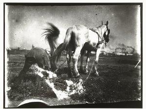 Arando um campo por cavalos de George Hendrik Breitner