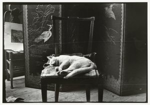 Gato em uma cadeira no estúdio de Breitner em Amsterdã de George Hendrik Breitner