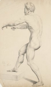 Untitled - Macho nu copiado de uma litografia de 1842 (grafite em papel de capa amarela)