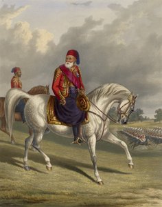 Ibrahim Pasha do Egito 1789-1848, 1846
