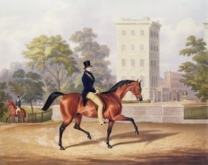 O Marquês de Anglesea a cavalo no Hyde Park, no seu 80º ano, gravado por J. Harris, 1847 (gravura a cores)