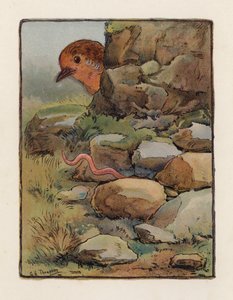 O Verme (litografia a cores) de George Henry Thompson