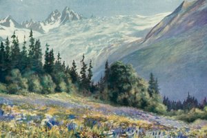 Campanula e Outras Flores de Julho no Col Des Montets (cor litho)