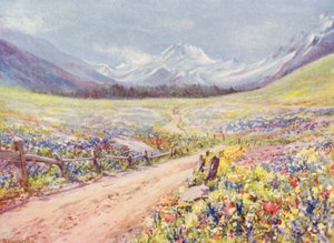 Prados de junho de Salvia, Lychnis, etc., no Val Ferret, pouco antes de chegar à aldeia de Praz de Fort (litografia a cores) de George Jackson Flemwell