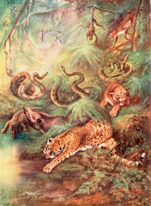 A grande floresta brasileira e seu zoológico (litografia colorida)
