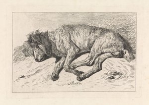 cachorro dormindo Bello (título no objeto) de George Jooss