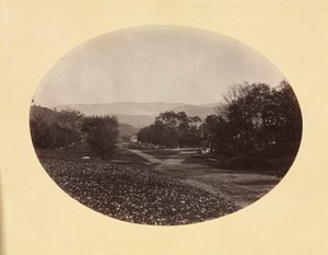Uma estrada em Williamstown