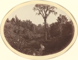 Paisagem perto de Williams College