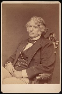Retrato de Charles Sumner 1811-1874, Antes de 1874.