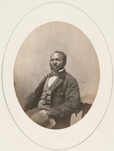 Retrato de homem, Universidade de Harvard