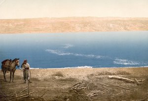Homem com cavalo em pé perto do Mar Morto, c.1890-c.1900 (impressão fotocromática)