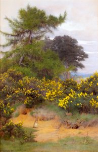 No limite de Shere Heath
