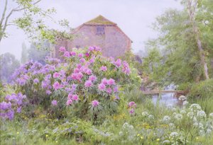Rododendros por um moinho de água